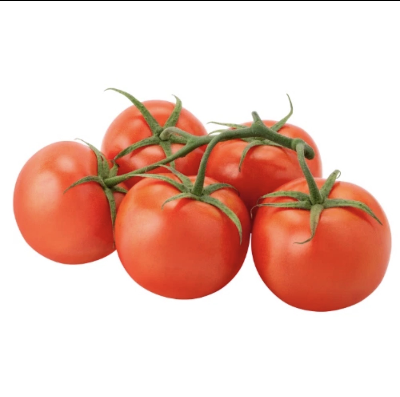 Strauchtomaten